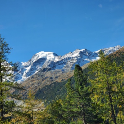 20221005_103702 (Large) 20221005_103702 (Large)