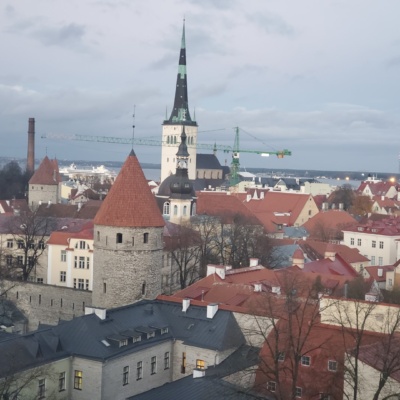 20221106_163323 (Large)